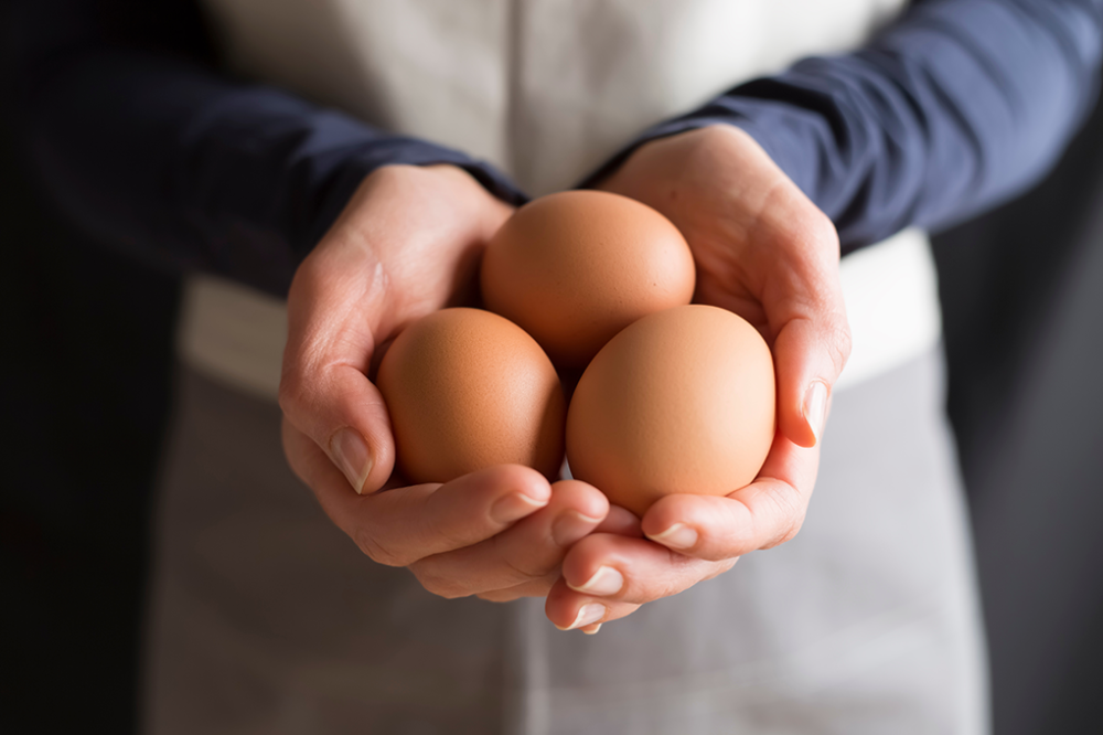 Nos oeufs