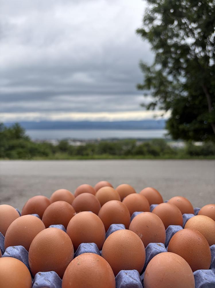 Plateau d'oeufs et vue sur le lac